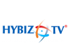 Hybiz